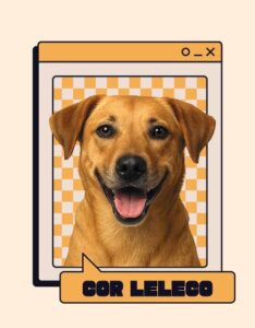 Foto de um cachorro de pelagem caramelo sorridente com a língua para fora, centralizada em uma moldura de janela de computador retrô sobre um fundo xadrez em tons de amarelo e branco