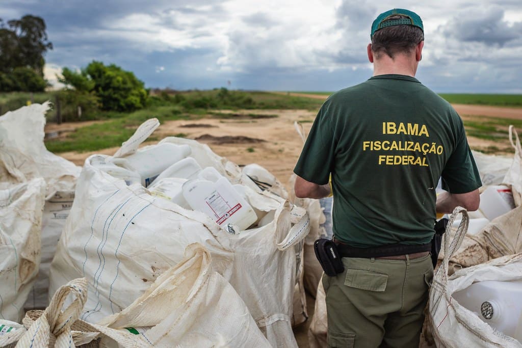 Fotografia de costas de um agente do IBAMA vestindo camiseta verde com a inscrição 'IBAMA FISCALIZAÇÃO FEDERAL' em amarelo. Ele observa grandes sacos brancos cheios de galões plásticos descartados em uma área rural sob céu nublado.