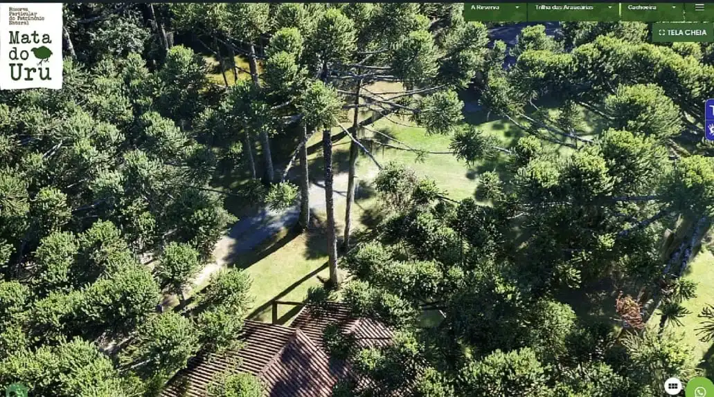 Vista aérea de uma reserva natural com densas árvores Araucárias, um telhado de casa em primeiro plano e o logotipo "Mata do Uru" no canto superior esquerdo.