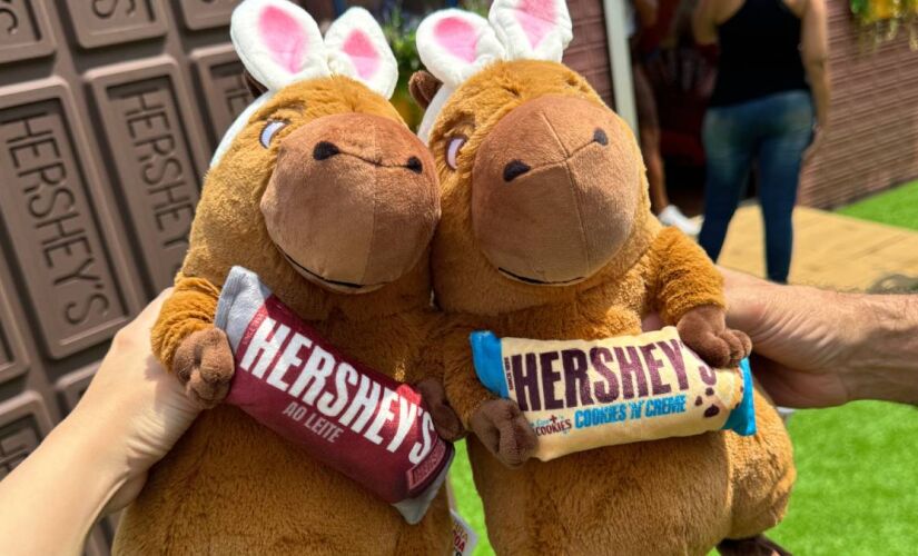 Duas pelúcias de capivara usando tiaras de orelhas de coelho brancas e rosa, segurando almofadas em formato de barras de chocolate Hershey's.