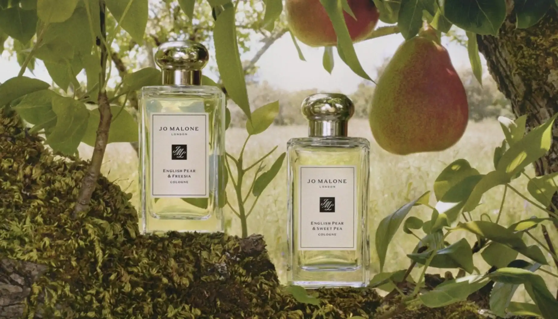 Dois frascos de colônia Jo Malone London posicionados sobre um tronco com musgo, sob uma macieira ou pereira com frutos pendentes.