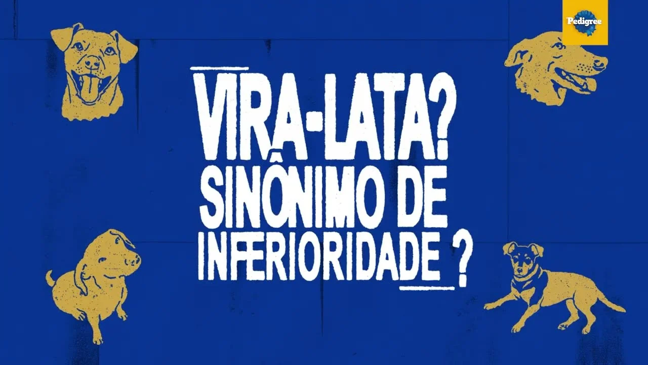 Peça da campanha da PEDIGREE questiona o preconceito contra vira-latas com a frase “Vira-lata? Sinônimo de inferioridade?” sobre fundo azul.