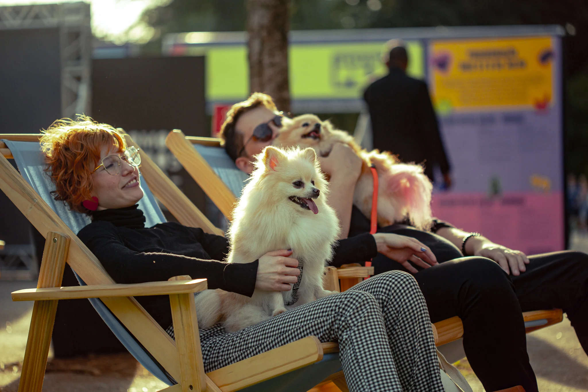 Casal relaxa em cadeiras com cachorros durante atividade do Festival Pet em São Paulo.