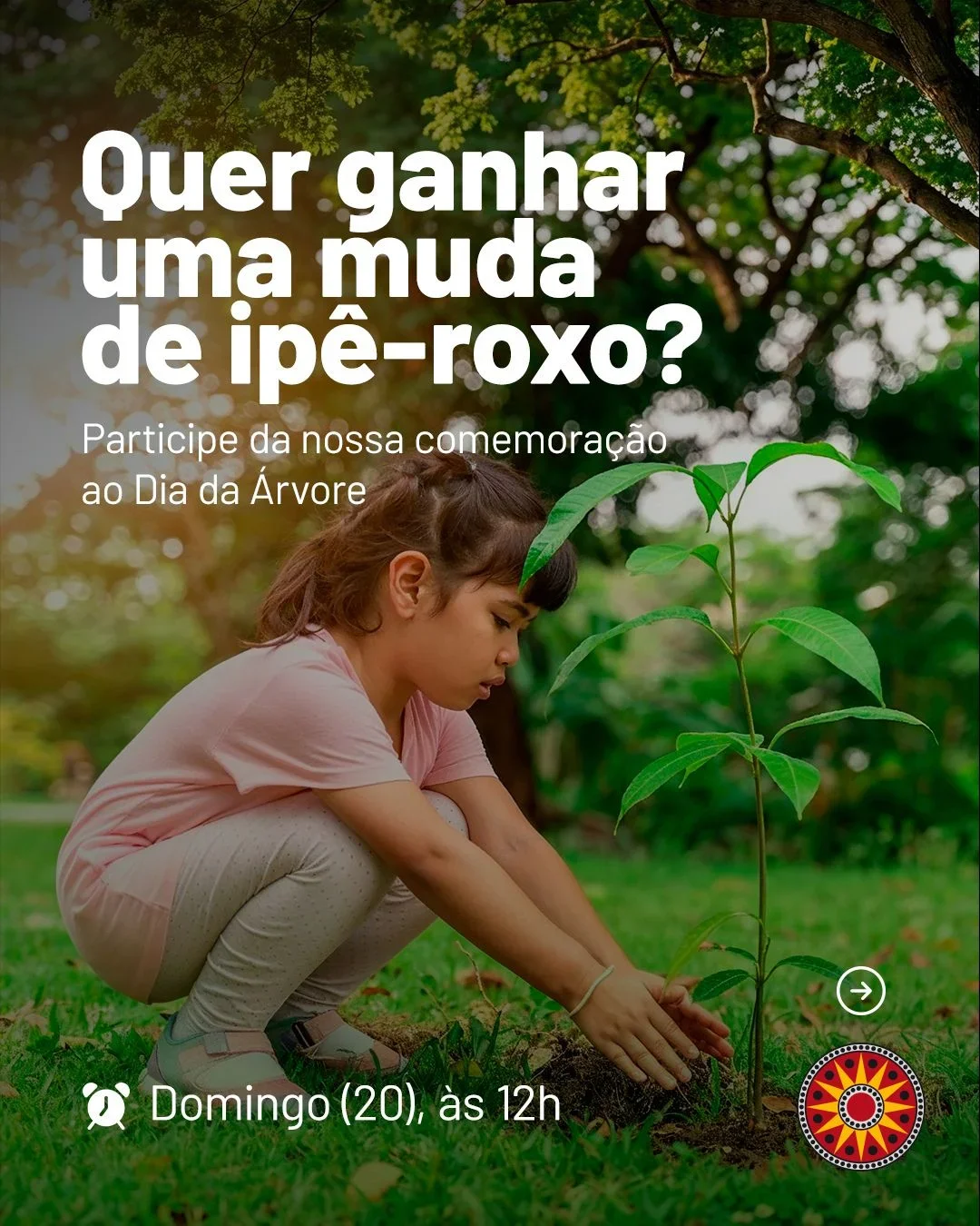 Ação distribui mudas de ipê-roxo no Dia da Árvore.